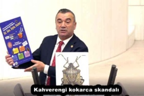 kahverengi_kokarca_skandali_h55088_d1d44