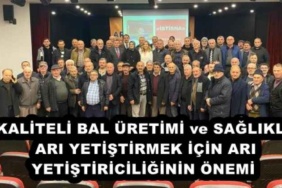 kaliteli_bal_uretimi_ve_saglikli_ari_yetistirmek_icin_ari_yetistiriciliginin_onemi_h52016_a069c