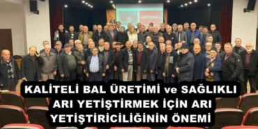 kaliteli_bal_uretimi_ve_saglikli_ari_yetistirmek_icin_ari_yetistiriciliginin_onemi_h52016_a069c