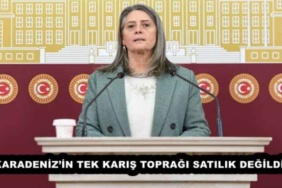 karadenizin_tek_karis_topragi_satilik_degildir_h58030_db9a8