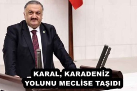 karal_karadeniz_yolunu_meclise_tasidi_h55841_3f384