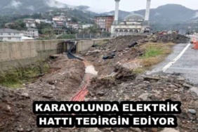 karayolunda_elektrik_hatti_tedirgin_ediyor_h49640_00fc0