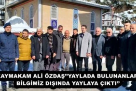 kaymakam_ali_ozdasyaylada_bulunanlar_bilgimiz_disinda_yaylaya_cikti_h51881_91d70