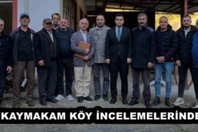 kaymakam_koy_incelemelerinde_h55739_1a622