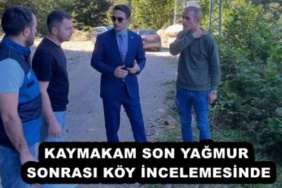 kaymakam_son_yagmur_sonrasi_koy_incelemesinde_h54764_a0cd4
