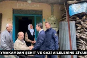 kaymakamdan_sehit_ve_gazi_ailelerine_ziyaret_h47547_e1e52