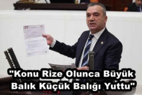 konu_rize_olunca_buyuk_balik_kucuk_baligi_yuttu_h50543_dd9e0