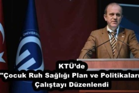 ktude_cocuk_ruh_sagligi_plan_ve_politikalari_calistayi_duzenlendi_h52504_682f8