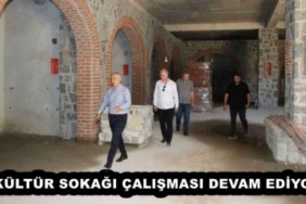 kultur_sokagi_calismasi_devam_ediyor_h54283_80f2d