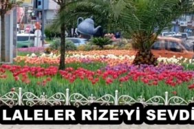 laleler_rizeyi_sevdi_h52768_af0fb