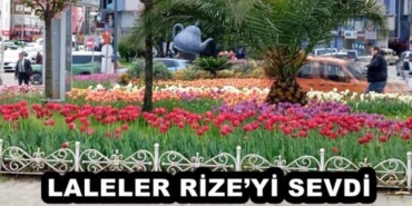 laleler_rizeyi_sevdi_h52768_af0fb