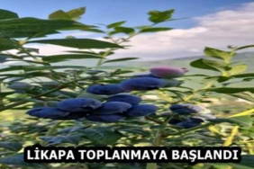 likapa_toplanmaya_baslandi_h59176_3c188