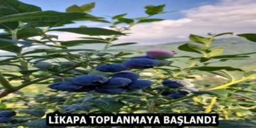 likapa_toplanmaya_baslandi_h59176_3c188