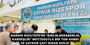 mardin_kiziltepede_birlikberaberlikkardeslik_mottosuyla_bir_ton_hamsi_ve_caykur_cayi_ikram_edildi_h45527_fe8e6