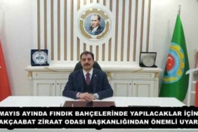 mayis_ayinda_findik_bahcelerinde_yapilacaklar_icin_akcaabat_ziraat_odasi_baskanligindan_onemli_uyari_h53001_3fb54