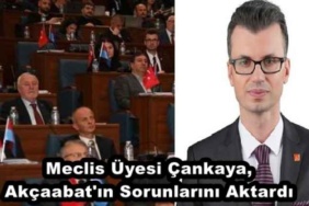 meclis_uyesi_cankaya_akcaabat_in_sorunlarini_aktardi_h49951_6c18a