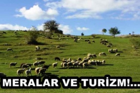 meralar_ve_turizm_h46079_034c0