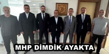 mhp_dimdik_ayakta_h49103_32cc4