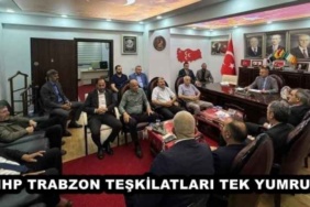 mhp_trabzon_teskilatlari_tek_yumruk_h49333_0fbf9