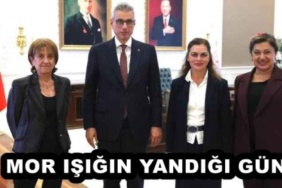 mor_isigin_yandigi_gun_h54931_88ee4