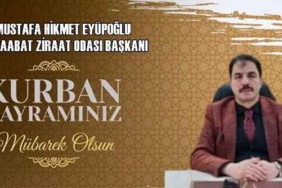 mustafa_hikmet_eyupoglu_h47895_707cb