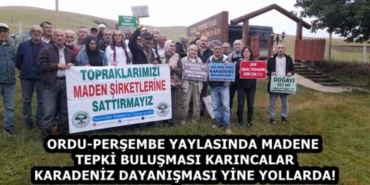 ordu_persembe_yaylasinda_madene_tepki_bulusmasi_karincalar_karadeniz_dayanismasi_yine_yollarda_h59329_39f27