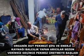 organik_dut_pekmezi_sifa_ve_enerji_kaynagi_balcilik_yapan_aricilar_sezon_verimsiz_gecince_pekmez_uretmeye_basladi_h49304_8464c