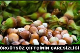 orgutsuz_ciftcinin_caresizligi_h54333_ef8e9