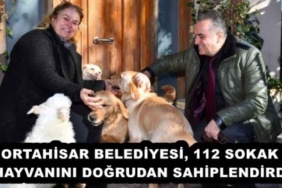 ortahisar_belediyesi_112_sokak_hayvanini_dogrudan_sahiplendirdi_h52524_954c8