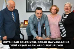 ortahisar_belediyesi_sokak_hayvanlarina_yeni_yasam_alanlari_olusturuyor_h53553_a22fb