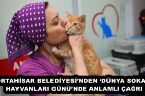 ortahisar_belediyesinden_dunya_sokak_hayvanlari_gununde_anlamli_cagri_h57874_03568