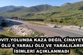 ovit_yolunda_kaza_degil_cinayet_2_olu_6_yarali_olu_ve_yaralilarin_isimleri_aciklanmadi_h48716_b53a5