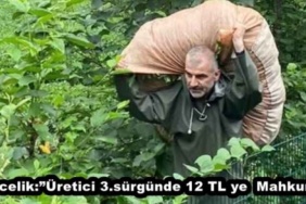 ozcelikuretici_3surgunde_12_tl_ye_mahkum_h48791_33e4f
