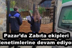 pazarda_zabita_ekipleri_denetimlerine_devam_ediyor_h51615_2c3e9