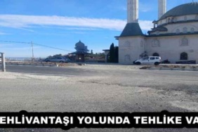 pehlivantasi_yolunda_tehlike_var_h51349_6dc84