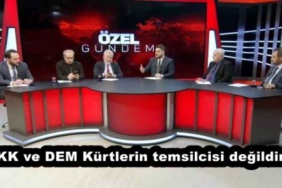 pkk_ve_dem_kurtlerin_temsilcisi_degildir_h56629_91933