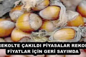 rekolte_cakildi_piyasalar_rekor_fiyatlar_icin_geri_sayimda_h54202_6e728