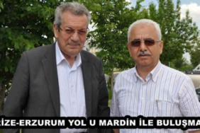 rize_erzurum_yol_u_mardin_ile_bulusmali_h48308_d9b38
