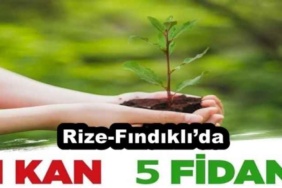 rize_findiklida_bir_kanbes_fidan_etkinligi_h51620_7df5e