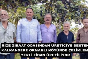 rize_ziraat_odasindan_ureticiye_destek_kalkandere_ormanli_koyunde_celikleme_yerli_fidan_uretiliyor_h48763_f1f79