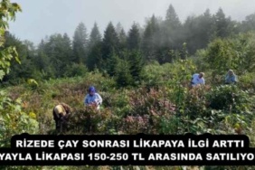 rizede_cay_sonrasi_likapaya_ilgi_artti_yayla_likapasi_150_250_tl_arasinda_satiliyor_h54638_8bd13
