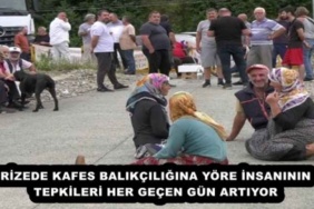 rizede_kafes_balikciligina_yore_insaninin_tepkileri_her_gecen_gun_artiyor_h54702_b6c1b