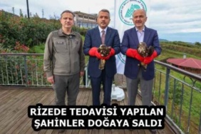 rizede_tedavisi_yapilan_sahinler_dogaya_saldi_h59663_5dc99