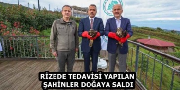 rizede_tedavisi_yapilan_sahinler_dogaya_saldi_h59663_5dc99