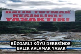 ruzgarli_koyu_deresinde_balik_avlamak_yasak_h59174_e4f1d