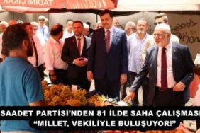 saadet_partisinden_81_ilde_saha_calismasimillet_vekiliyle_bulusuyor_h54510_28bde