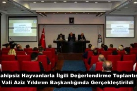 sahipsiz_hayvanlarla_ilgili_degerlendirme_toplantisi_vali_aziz_yildirim_baskanliginda_gerceklestirildi_h54386_ec1f7