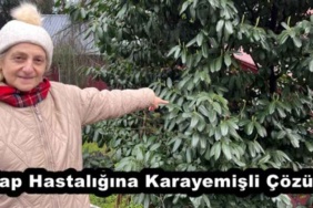 sap_hastaligina_karayemisli_cozum_h57790_3a19c