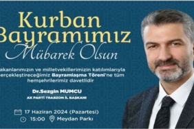 sezgin_mumcu_h47887_a5113