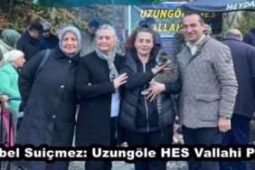 sibel_suicmez_uzungole_hes_vallahi_pes_h50048_28602